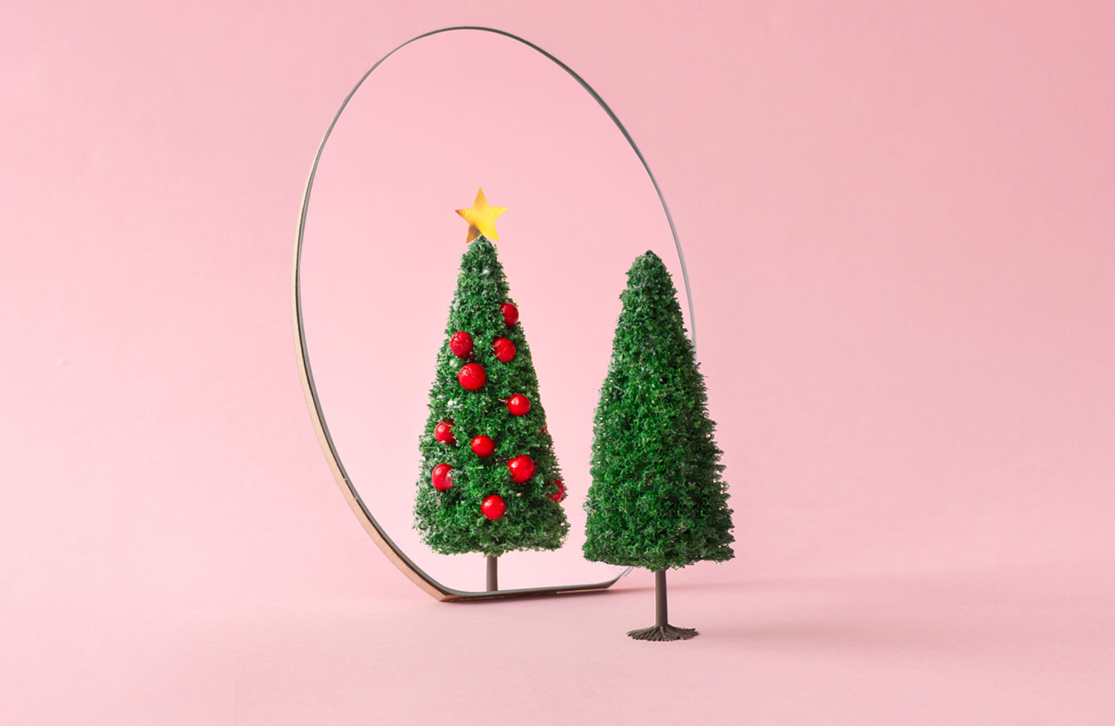 Evergreen conifer in front of a mirror portraying a decorated tree signifying the ultimate experience like AR, VR, and AI